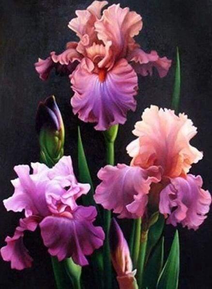 Diamond Painting - Pretty Flowers - Diamond Painting Italia