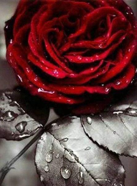 Diamond Painting - Red Rose - Diamond Painting Italia