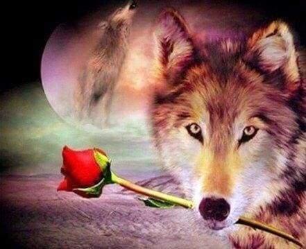 Diamond Painting - Romantic Wolf - Diamond Painting Italia