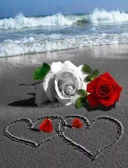 Diamond Painting - Roses on the Beach - Diamond Painting Italia
