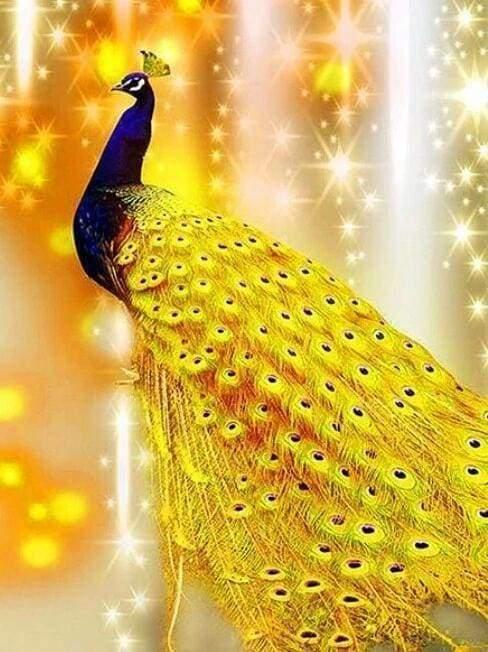 Diamond Painting - Shimmering Peacock - Diamond Painting Italia