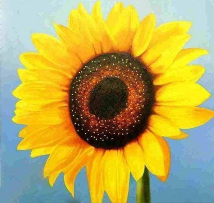 Diamond Painting - Sunflower - Diamond Painting Italia