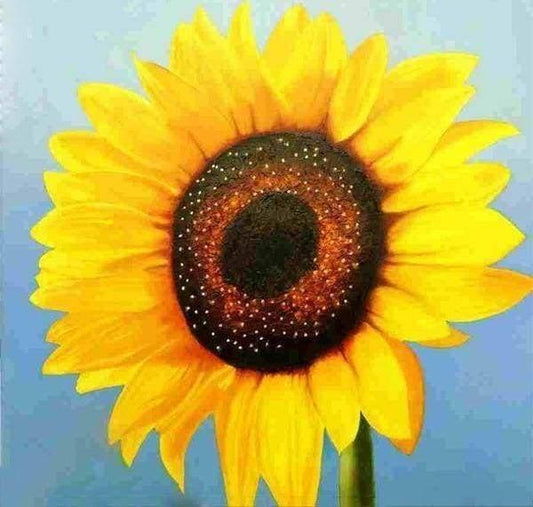 Diamond Painting - Sunflower - Diamond Painting Italia