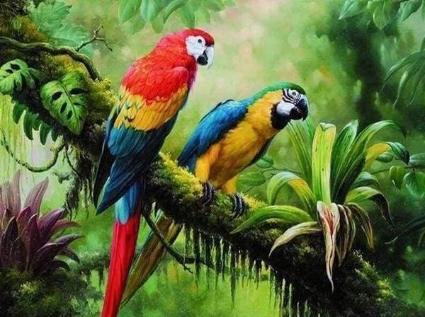 Diamond Painting - The Parrots - Diamond Painting Italia
