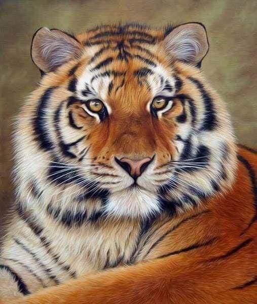 Diamond Painting - Tiger Eye - Diamond Painting Italia