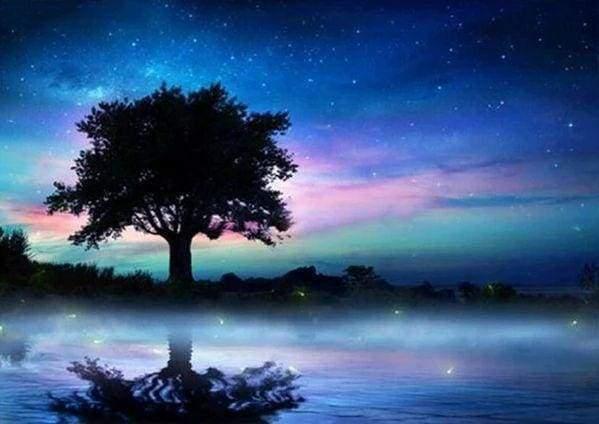 Diamond Painting - Tree in the Night - Diamond Painting Italia