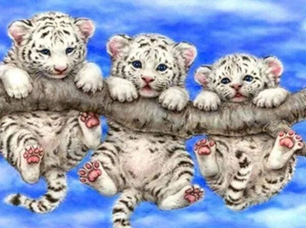 Pittura a diamante Neonati Tigri dispettose Tigers mischievous - Diamond Painting Italia