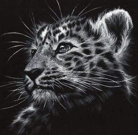 Pittura Diamante - Leopardo in Bianco e Nero - Diamond Painting Italia