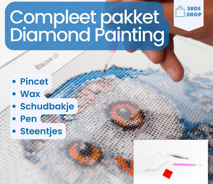 Starterspakket per ogni principiante – SEOS Shop® - Diamond Painting Italia